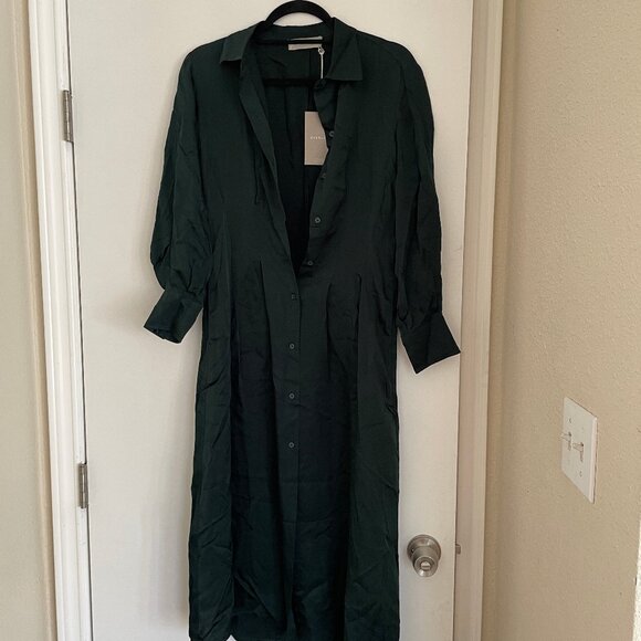 NWT Everlane The Hammered Satin Shirt Dress - Picture 6 of 8